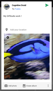 GIF Studio's Google Plus sharing screen to let you select the sharing group and add text to your post